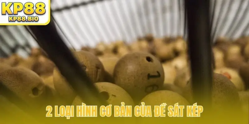 2 loại hình cơ bản của đề sát kép
