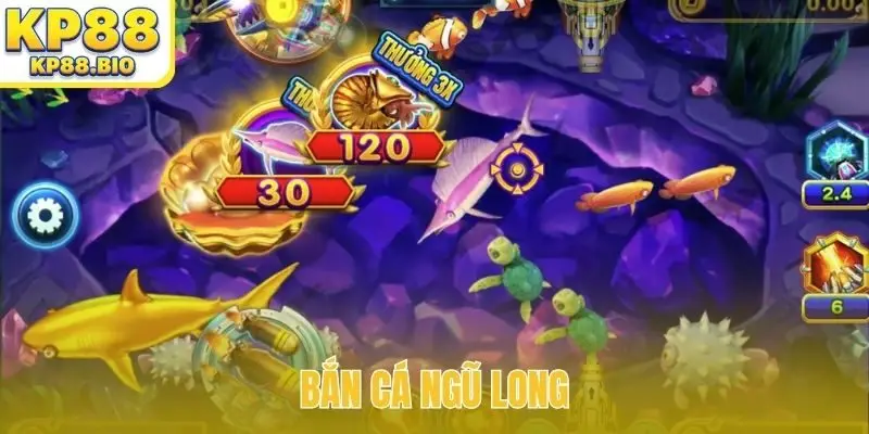 ban ca ngu long bia
