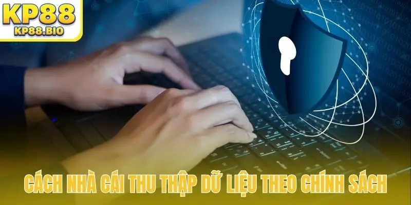 Cách nhà cái thu thập dữ liệu theo chính sách