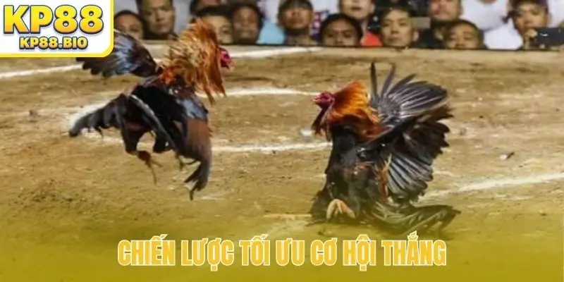Chiến lược tối ưu cơ hội thắng