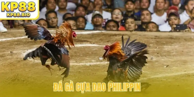 da ga cua dao philippin bia