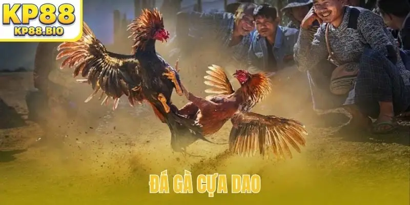 da ga cua dao bia
